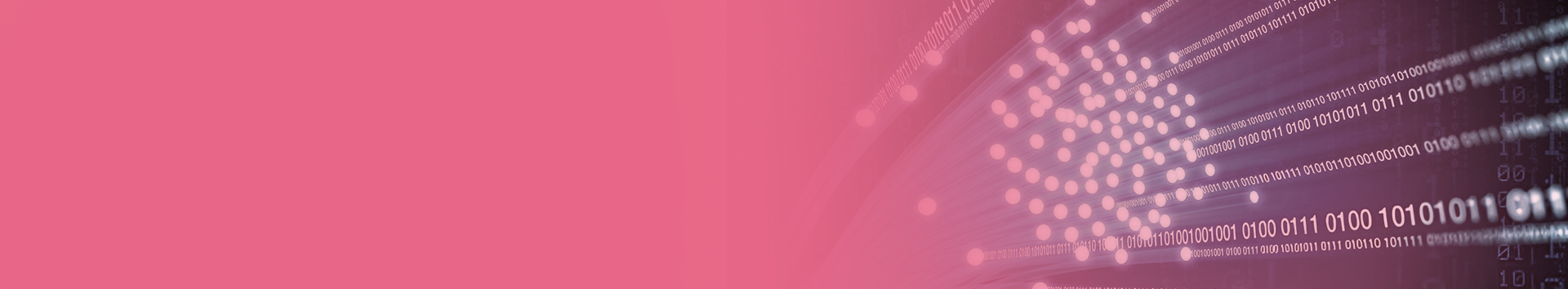 page Header bg